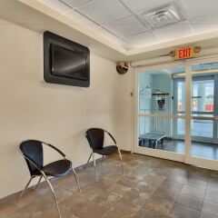 Отель Motel 6 Niagara Falls - New York США, Ниагара-Фолс - отзывы, цены и фото номеров - забронировать отель Motel 6 Niagara Falls - New York онлайн фитнесс-зал