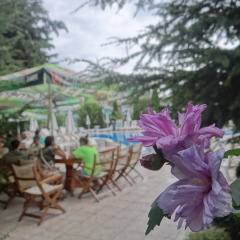 Mpm Hotel Boomerang - All Inclusive Light Солнечный берег