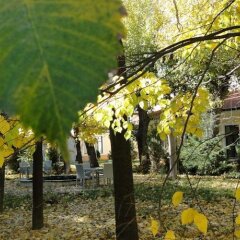 Гостиница Адмирал Украина, Одесса - 8 отзывов об отеле, цены и фото номеров - забронировать гостиницу Адмирал онлайн фото 6