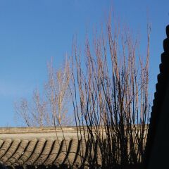 Отель Peking Garden Hotel Китай, Пекин - отзывы, цены и фото номеров - забронировать отель Peking Garden Hotel онлайн пляж