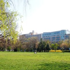 Отель Mercure Budapest Castle Hill Венгрия, Будапешт - 2 отзыва об отеле, цены и фото номеров - забронировать отель Mercure Budapest Castle Hill онлайн фото 3