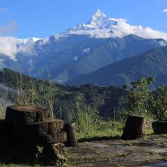Отель Himalayan Deurali Resort Непал, Лехнат - отзывы, цены и фото номеров - забронировать отель Himalayan Deurali Resort онлайн фото 16