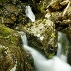 Uzungol Holiday Hotel 2 Турция, Узунгёль - отзывы, цены и фото номеров - забронировать отель Uzungol Holiday Hotel 2 онлайн фото 6