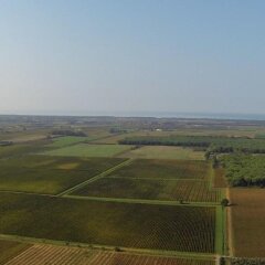 Отель Relais Felciaino B&B Кастаньето-Кардуччи приотельная территория фото 2