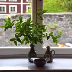 Отель Långholmen Hotell Швеция, Стокгольм - отзывы, цены и фото номеров - забронировать отель Långholmen Hotell онлайн фото 2