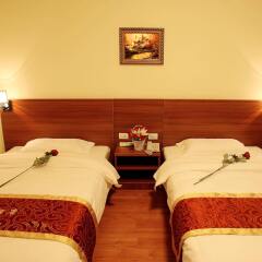 Tiancheng Business Hotel Xian комната для гостей фото 2