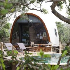 Отель Wild Coast Tented Lodge - All Inclusive Шри-Ланка, Тиссамахарама - отзывы, цены и фото номеров - забронировать отель Wild Coast Tented Lodge - All Inclusive онлайн фото 12