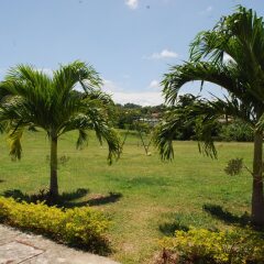 Отель Palm View At The Emerald Estate Gated фото 3