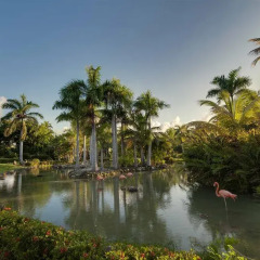 Отель Melia Caribe Tropical - Все включено Доминикана, Пунта Кана - 9 отзывов об отеле, цены и фото номеров - забронировать отель Melia Caribe Tropical - Все включено онлайн приотельная территория