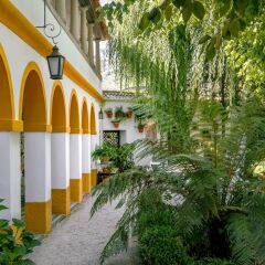 Отель Casa da Azenha фото 12