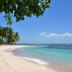 Enchanting Basse-terre Bungalow Just 150 Metres From Petite Anse Beach in Bouillante, France from 106$, photos, reviews - zenhotels.com beach photo 2