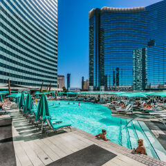 Отель Vdara Suites by AirPads США, Лас-Вегас - отзывы, цены и фото номеров - забронировать отель Vdara Suites by AirPads онлайн с домашними животными