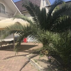 Отель Cottage na Kuvshinok Сочи фото 2