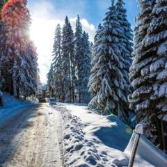 Отель Sunny Hills Ski Пампорово спортивное сооружение