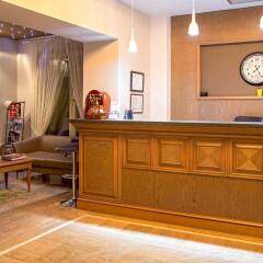 Отель Vila Alba Тирана интерьер отеля