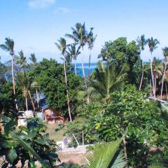 Отель Safari Island Lodge Fiji пляж
