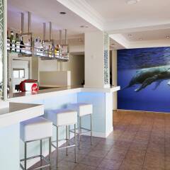 Universal Hotel Florida - Only Adults гостиничный бар