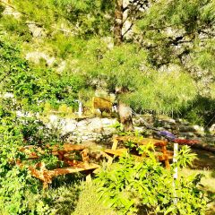 Гостевой Дом Dionysos Lodge фото 11