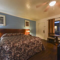 Отель Desert Moon Motel США, Лас-Вегас - отзывы, цены и фото номеров - забронировать отель Desert Moon Motel онлайн комната для гостей фото 4