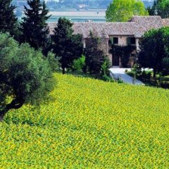 Отель Casa Vacanze di Charme Ripabianca Джези фото 4