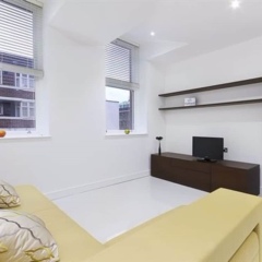Отель Bloomsbury - Serviced Apartments Великобритания, Лондон - отзывы, цены и фото номеров - забронировать отель Bloomsbury - Serviced Apartments онлайн комната для гостей фото 5