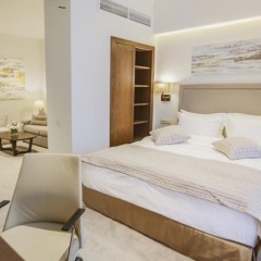 Гостиница Palmira Business Club 4* Стандартный номер с двуспальной кроватью фото 5