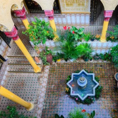 Hotel Mozart с домашними животными
