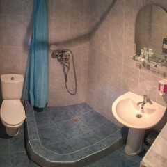 Family Hotel Mountain Scream Тбилиси ванная