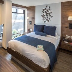 Отель Suites Batia Мексика, Мехико - отзывы, цены и фото номеров - забронировать отель Suites Batia онлайн комната для гостей фото 4