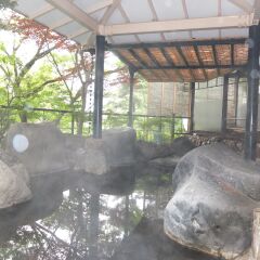 Отель Kinugawa Park Hotels Park Cottage Никко с домашними животными
