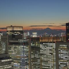 Отель Mandarin Oriental Tokyo Токио фото 10