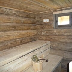 Отель Gela & Spa Болгария, Чепеларе - отзывы, цены и фото номеров - забронировать отель Gela & Spa онлайн фото 20