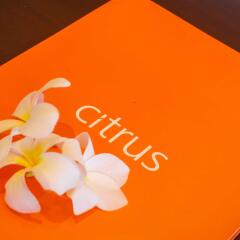 Отель Citrus Hikkaduwa удобства в номере