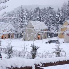 Отель Phoenix Wing Hakuba Хакуба