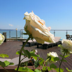 Albizia Beach Hotel балкон