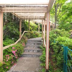 Отель Kinugawa Park Hotels Park Cottage Никко фото 2
