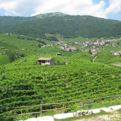 Отель La Casa Vecchia Вальдоббьадене фото 13