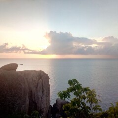 Отель Nangyuan Island Dive Resort Таиланд, о. Нангьян - отзывы, цены и фото номеров - забронировать отель Nangyuan Island Dive Resort онлайн приотельная территория фото 2