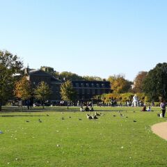 Отель Kensington Palace by Underground station Лондон спортивное сооружение