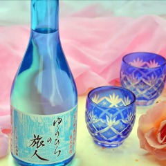 Отель Yunohira-Onsen Shukusai Gyouunsou Япония, Хидзи - отзывы, цены и фото номеров - забронировать отель Yunohira-Onsen Shukusai Gyouunsou онлайн спа
