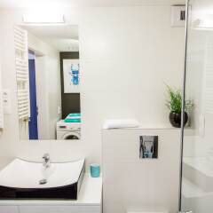 Апартаменты Mojito Apartments - Botanica ванная