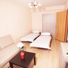 Гостиница Funny Dolphins Apartments Goncharny в Москве отзывы, цены и фото номеров - забронировать гостиницу Funny Dolphins Apartments Goncharny онлайн Москва комната для гостей фото 4