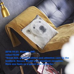 Отель B&B D&F Suites Brussels Бельгия, Брюссель - отзывы, цены и фото номеров - забронировать отель B&B D&F Suites Brussels онлайн с домашними животными