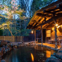Отель Miyakowasure Natsuse Onsen Дайсен бассейн фото 2