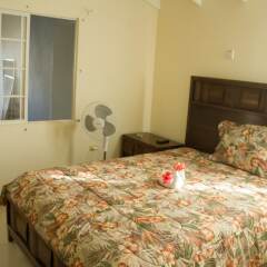 Отель Greenoasis Guest House комната для гостей фото 5