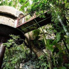 Отель Dao Anh Khanh Treehouse Ханой фото 13
