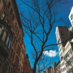 Отель La Quinta Inn & Suites New York City Central Park США, Нью-Йорк - отзывы, цены и фото номеров - забронировать отель La Quinta Inn & Suites New York City Central Park онлайн фото 8