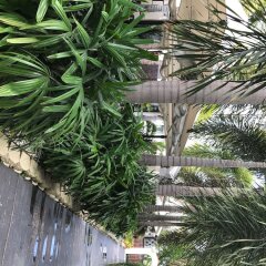 South Beach Plaza Hotel фото 12