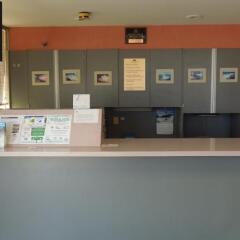 Отель Americas Best Value Inn Niagara Falls США, Ниагара-Фолс - отзывы, цены и фото номеров - забронировать отель Americas Best Value Inn Niagara Falls онлайн спа