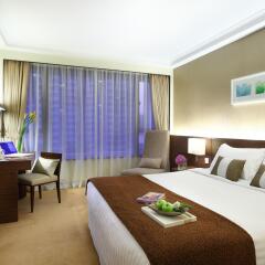 City Garden Hotel комната для гостей